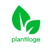 Plantiloge