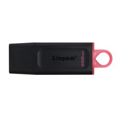 Kingston Pen Drive 256GB DTX Exodia